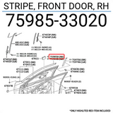 STRIPE, FRONT DOOR, RH 7598533020