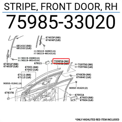 STRIPE, FRONT DOOR, RH 7598533020