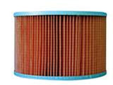 FLEETGUARD AF25569 AIR FILTER