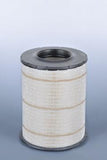 FLEETGUARD AF25631 AIR FILTER