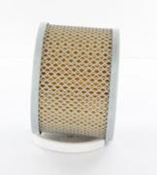 FLEETGUARD AF4525 AIR FILTER