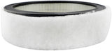 AUTOMOTIVE AIR FILTER W. - PA2073