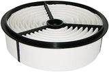 AIR FILTER I/W. A455 RYCO - PA2171